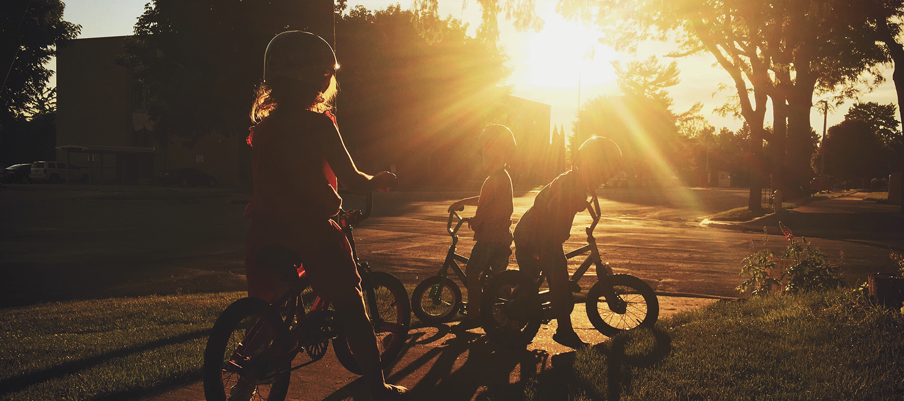 contact-header
